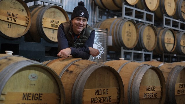Le Cidre de Glace Neige; fruit de la métamorphose
